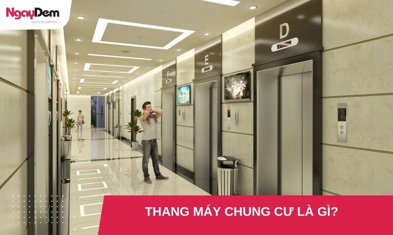 Thang máy chung cư là gì? Cấu tạo và tiêu chuẩn an toàn