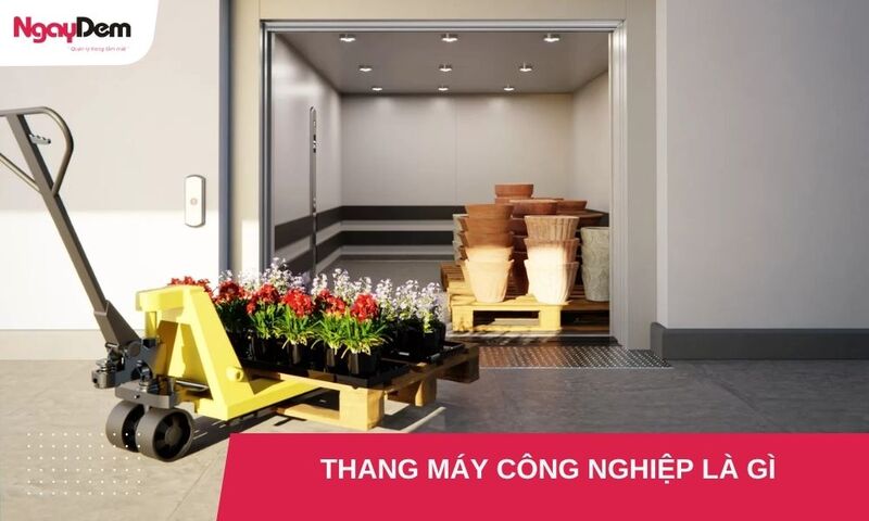 Giải đáp: Thang máy công nghiệp là gì? Vai trò trong sản xuất