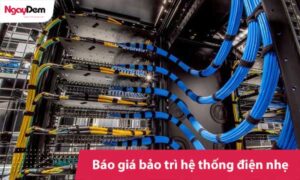 Báo giá bảo trì điện nhẹ trọn gói mới nhất | Tiết kiệm 20% chi phí