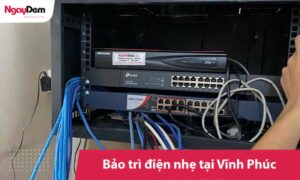Bảo trì hệ thống điện nhẹ tại Vĩnh Phúc | Miễn phí khảo sát