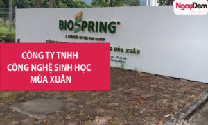 Lắp đặt camera cho công ty TNHH CN Sinh học Mùa Xuân