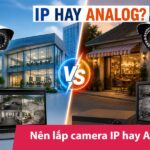 Nên lắp camera IP hay Analog? Tiêu chí chọn lựa phù hợp