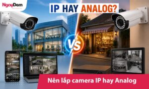 Nên lắp camera IP hay Analog? Tiêu chí chọn lựa phù hợp
