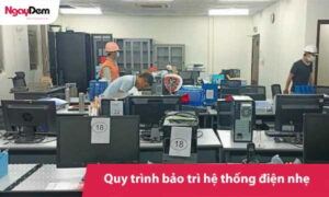 Quy trình bảo trì hệ thống điện nhẹ ELV chuẩn cho mọi công trình