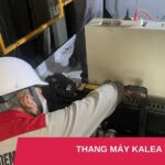 thang máy kalea
