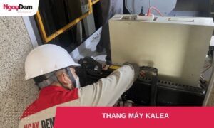 thang máy kalea