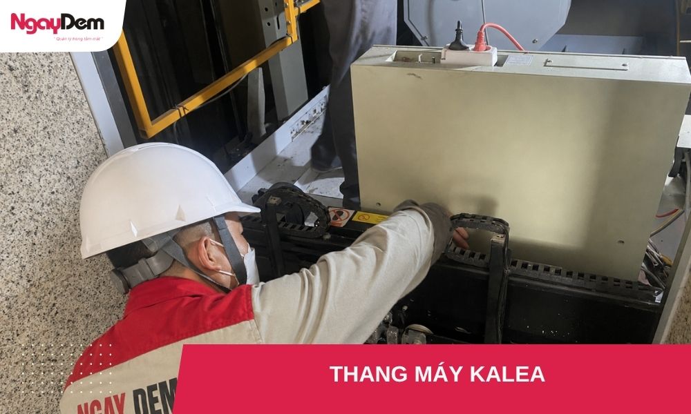 thang máy kalea