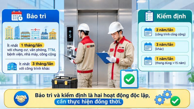 Thang máy Mitsubishi - Tổng quan thương hiệu & Lưu ý bảo trì định kỳ đúng chuẩn