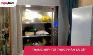 Thang tời thực phẩm là gì? Có nên lắp đặt cho nhà hàng?