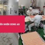 Thi công Camera nhà máy Mỹ phẩm Song An
