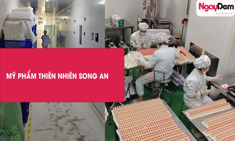 Dự án thi công Camera nhà máy Mỹ phẩm Song An