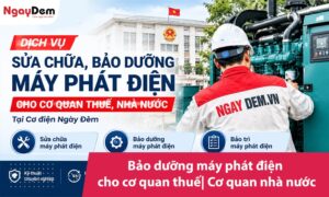 Bảo dưỡng máy phát điện cho cơ quan thuế| Cơ quan nhà nước