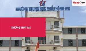 Dự án ảo dưỡng máy phát điện Trường THPT IVS