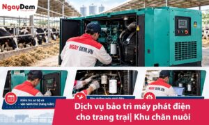 Dịch vụ bảo trì máy phát điện cho trang trại| Khu chăn nuôi