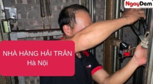 dự án bảo trì thang máy nhà hàng hải trân