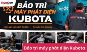 Sửa chữa bảo trì máy phát điện Kubota đúng quy trình| Đúng lỗi