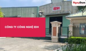 Dự án bảo trì máy phát điện cho công ty EDH