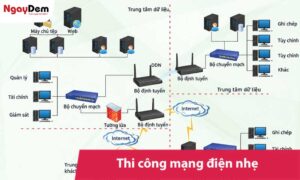 Thi công hệ thống mạng điện nhẹ trọn gói | Hạ tầng Lan - Wifi